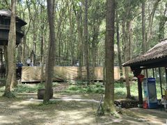 -富春桃源风景区