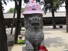-关林