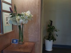 -枣子树素餐厅(铂金城店)