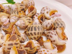 -寻味顺德·南记酒家·传统顺德菜·鱼生(广源路店)
