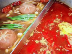 -湊湊火锅·茶憩(郑州绿地新都会店)