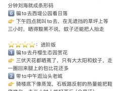 -石炮台公园