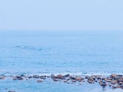 -广东惠东海龟国家级自然保护区