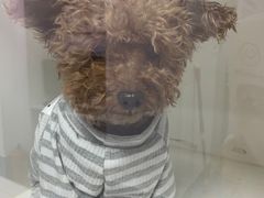 -宠颐生动物医院·心脏科·保险定点(锦阳分院)