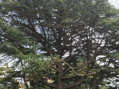 -青岛德国总督楼旧址博物馆