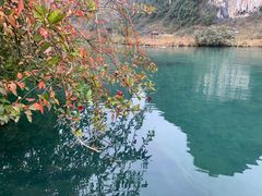 -靖西鹅泉风景区