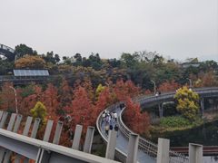 -福道