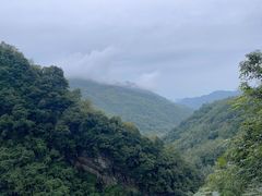 -龙窝子