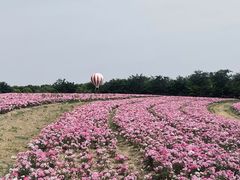 -歌斐颂巧克力小镇