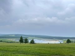 -御道口草原森林风景区