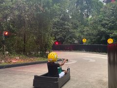 -圣淘沙天际线斜坡滑车