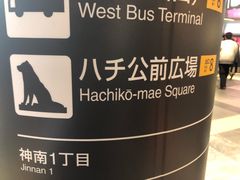 -涩谷区