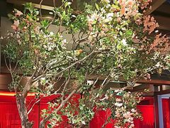 -星·South Beauty·俏江南(国贸店)