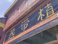 -呀路古热带植物园