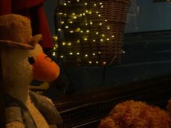 -不舍昼夜咖啡馆