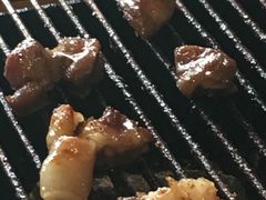 -海拉尔碳烤羊腿烤鸽子(吕营店)