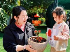 -金豆子幼稚园