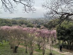 -无锡梅园公园