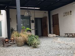 -云里小坐·小院里·团建·宴请·下午茶(三圣乡店)