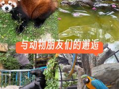 -灵玲国际马戏城