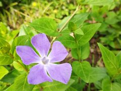 -白塘生态植物园