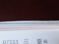 -海口东站