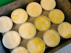 -德禄酸奶(莫家街店)