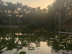 -中国科学院西双版纳热带植物园
