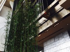 -上海柏悦酒店
