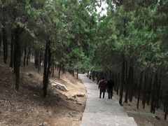 -青州市云门山风景区