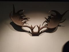 -大庆市博物馆
