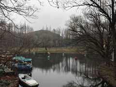 -上海共青森林公园