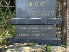 -黄山翡翠谷景区