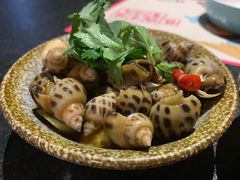 芥末花螺-蛙小侠(珠海华发商都店)