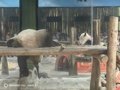 -栾川竹海野生动物园