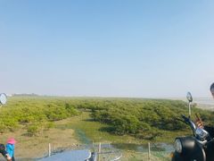 -北海金海湾红树林生态旅游区