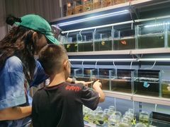 -中环花鸟鱼虫市场