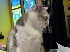 -谜盒子奇幻密室(南屏店)