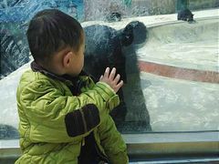 -东方熊牧场