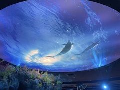 -陕西自然博物馆