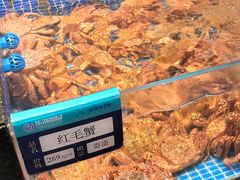 -东海怡品海鲜豆捞(星街坊店)