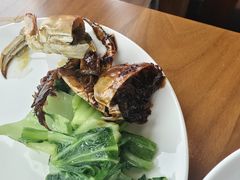 -嘉定凯悦·咖啡厅