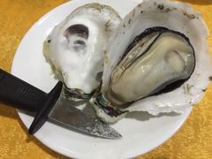 -蚝专家(北滘店)