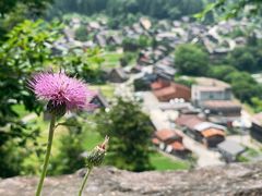 -白川乡与五箇山的合掌构造村落
