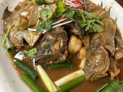 -鸿运美食府