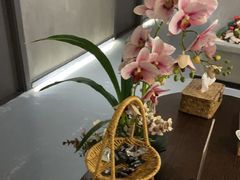 -施奈儿.洗头頭療.按摩SPA.采耳(上梅林店)