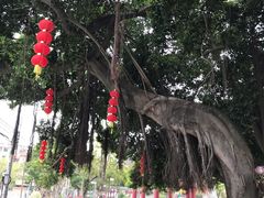 -长洲岛