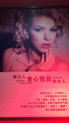 -金菩提·王妃天使背