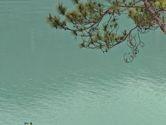 -广州市流溪河国家森林公园