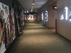 -汉阳天河电影城(王家湾店)